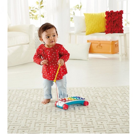 Fisher Price 經典小木琴 (CMY09)