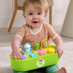 Fisher Price FP Pets 運動彈出式玩具 (JDL66)