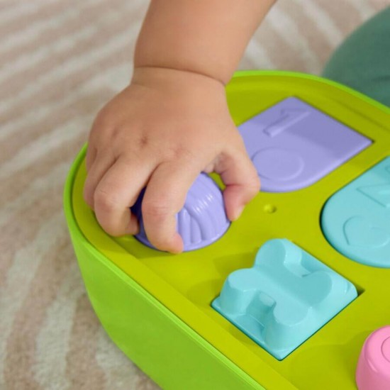 Fisher Price FP Pets 運動彈出式玩具 (JDL66)