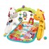 Fisher Price 歡樂動物音樂健身器 (CCB70)