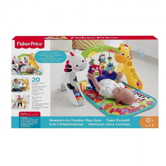 Fisher Price 歡樂動物音樂健身器 (CCB70)