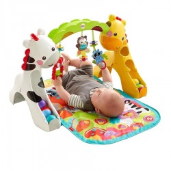 Fisher Price 歡樂動物音樂健身器 (CCB70)