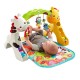 Fisher Price 歡樂動物音樂健身器 (CCB70)