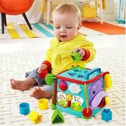 Fisher Price 聲光音樂互動學習盒 (DNP32)