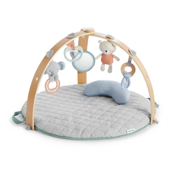 Ingenuity Cozy Spot 舒適雙面羽絨玩樂活動地墊