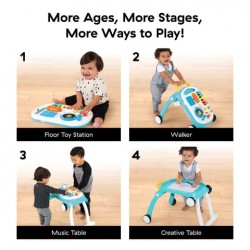 Baby Einstein 四合一學行車