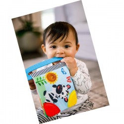 Baby Einstein 牙膠布圖書 - 好奇的探索家