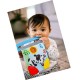 Baby Einstein 牙膠布圖書 - 好奇的探索家