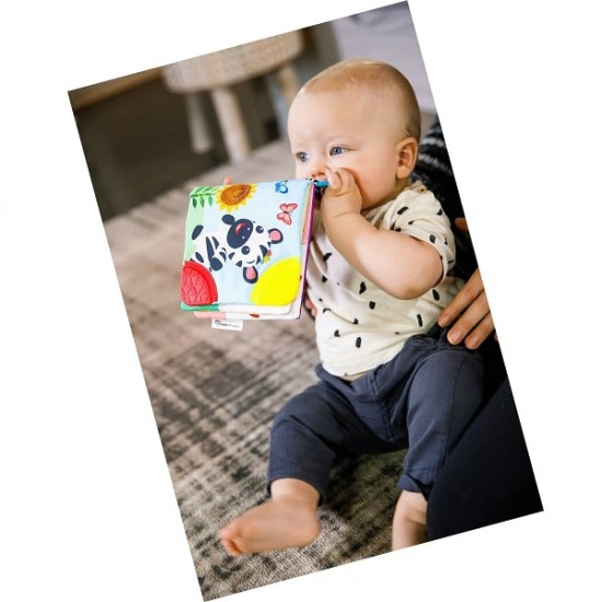Baby Einstein 牙膠布圖書 - 好奇的探索家