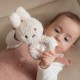 Little Dutch MIffy 兔子米菲禮品盒- 幸運粉紅