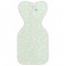 Love To Dream Swaddle Up 蝶型包巾 - 有機棉 Mint  (stage 1), 1.0 Tog