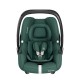 Maxi Cosi CABRIOFIX I-SIZE 嬰兒汽車座椅 - 綠 (8558047110)