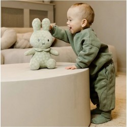 Miffy 米菲抱抱毛絨玩具 30 cm - 綠色花