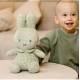 Miffy 米菲抱抱毛絨玩具 30 cm - 綠色花