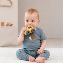 Nuby 汽車矽膠固齒牙膠玩具
