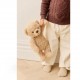 Snuggle Bunnies - Arthur the Bear 30 cm