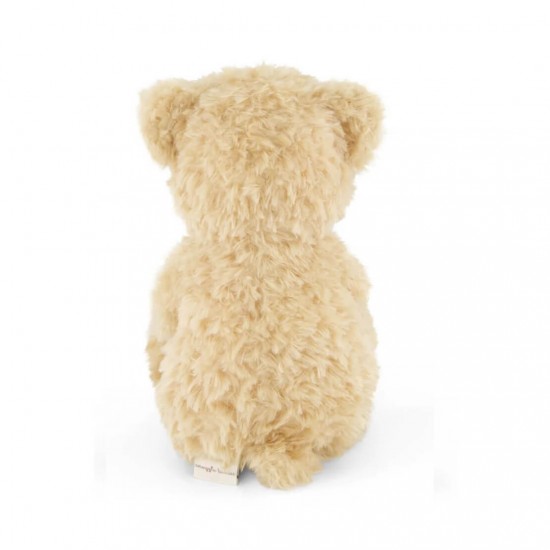 Snuggle Bunnies - Arthur the Bear 30 cm