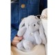 Snuggle Bunnies - Penelope Keyring - Silver