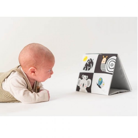 TAF Toys Tummy Time 連鏡布圖書 (12905)