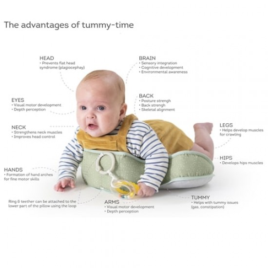 Taf Toys TUMMY TIME 熊貓遊玩小枕 (13725)
