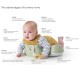 Taf Toys TUMMY TIME 熊貓遊玩小枕 (13725)