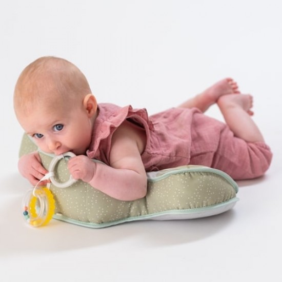 Taf Toys TUMMY TIME 熊貓遊玩小枕 (13725)