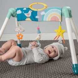 TAF Toys 迷你月亮健身架 (12525)