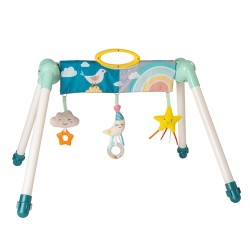 TAF Toys 迷你月亮健身架 (12525)