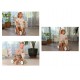 Tiny Love BOHO CHIC 三輪車 (2222150561)