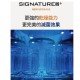Upang Signature 2+ UP920 LED 紫外線消毒機 - 奶油白